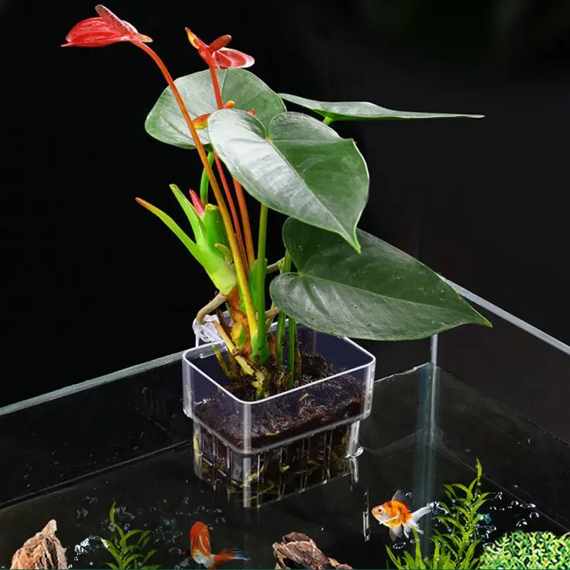 Aquarium Fish Tank Plant Holder with Hooks Emersed Daffodils Plants Suitable for Aquatic Plant Cultivation Fish Tank Accessories