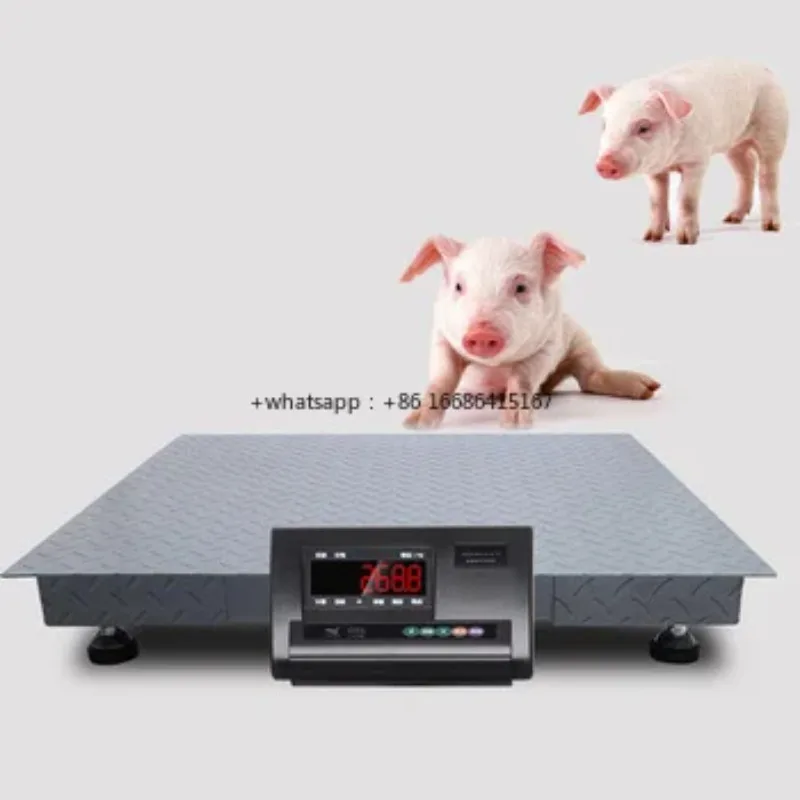 1000kg-3000kg Electric Floorscale Cattle Weighing Scale Platform Scales