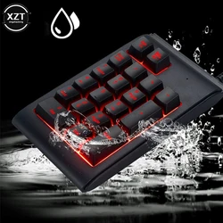 Mechanical Number Pad USB Wired Numeric Keypad with RGB LED Backlit 19 Key Numpad Mechanical Numeric Keyboard for Laptop Desktop