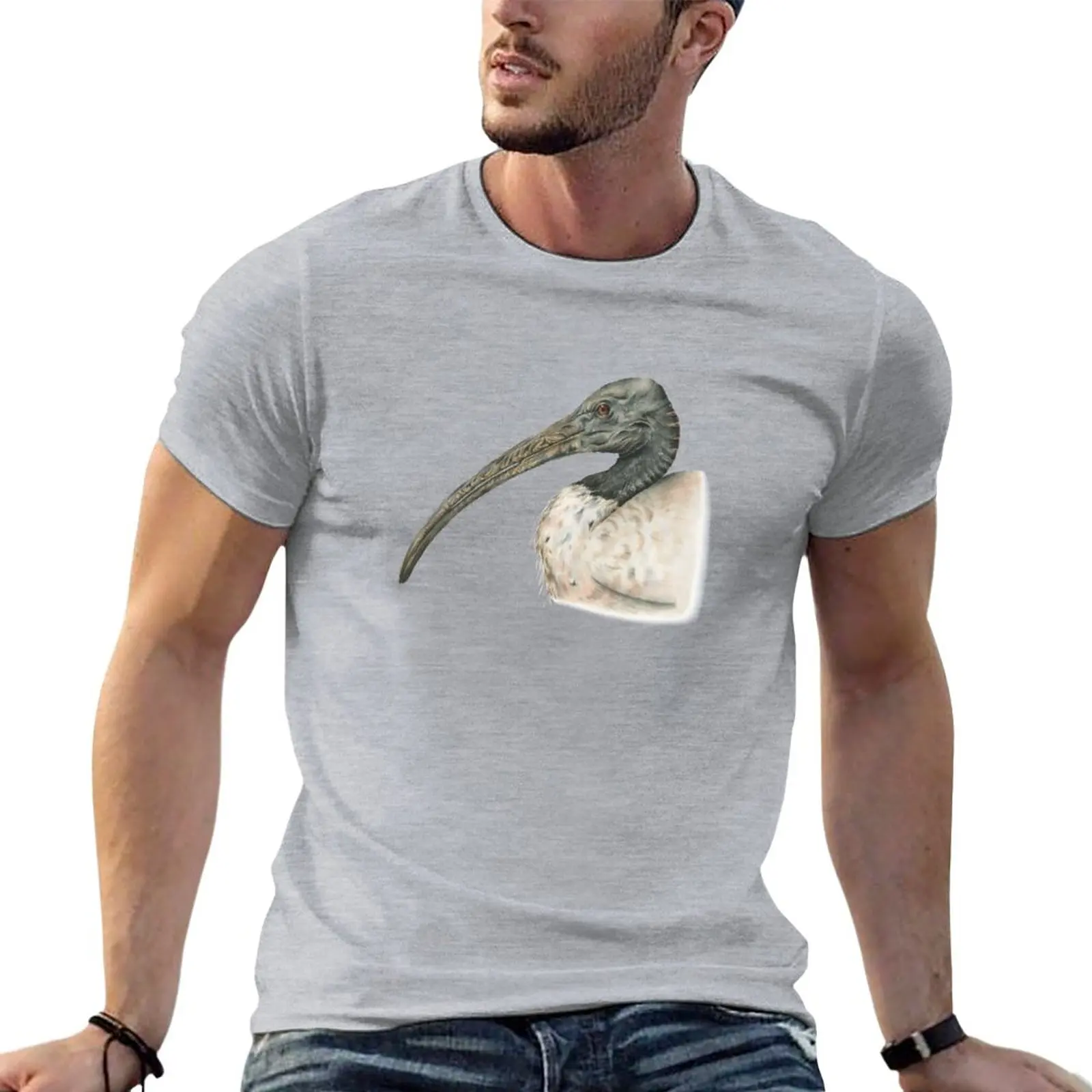 

Australian White Ibis T-Shirt tees Short sleeve tee funnys mens champion t shirts