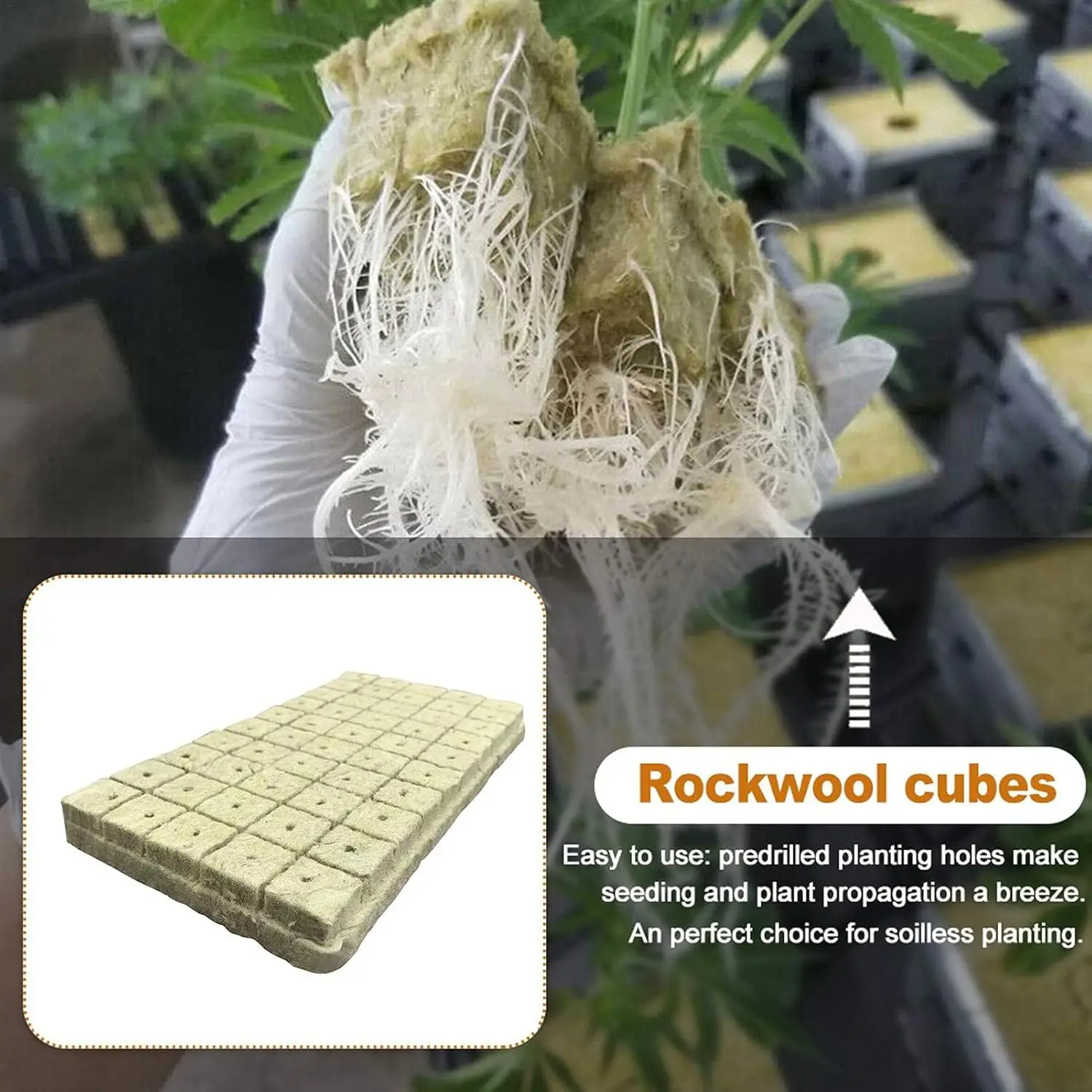 100 قطعة 25x25 مللي متر الصوف الحجري المائية تنمو وسائل الإعلام مكعبات مكعبات النبات بدون تربة الركيزة البذور الصوف الصخري التوصيل الشتلات كتلة