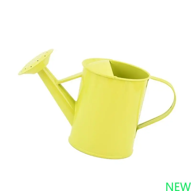 

Внутреннее садовое растение полив, устойчивая к ржавению, устойчивый к железу с ярким цветом для легкого полива и посадки