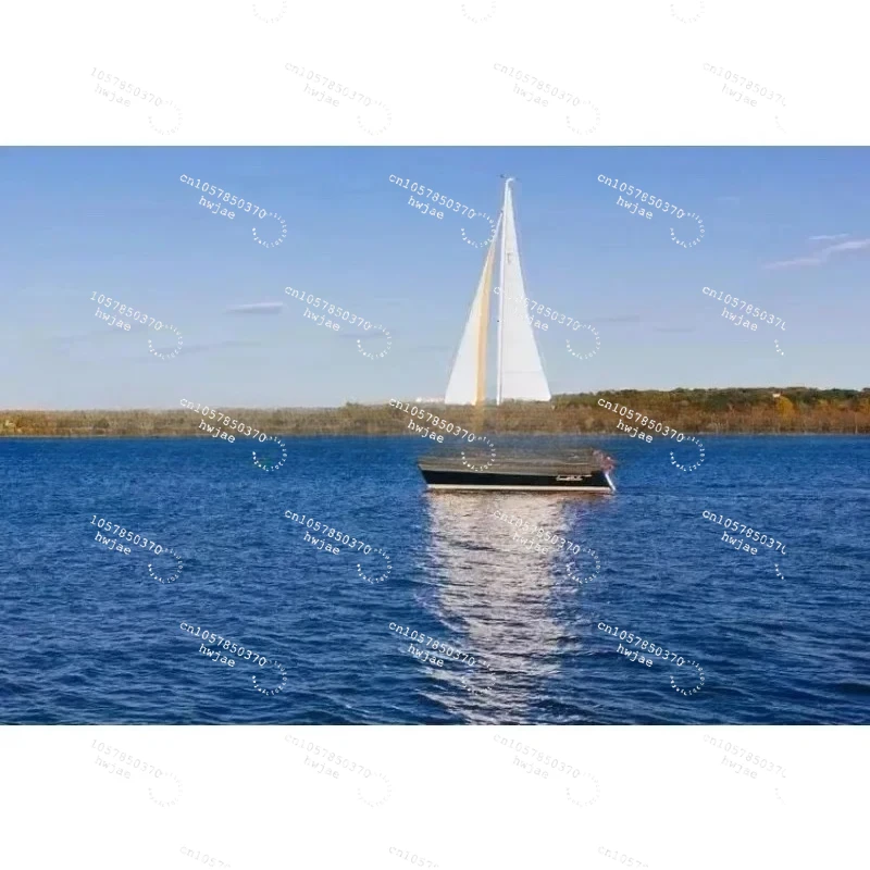 

for Wheel Loader 972 966 950M 962M 966M 966XE 972M 972XE Replacement 24V Actuator 581-2664 5812664