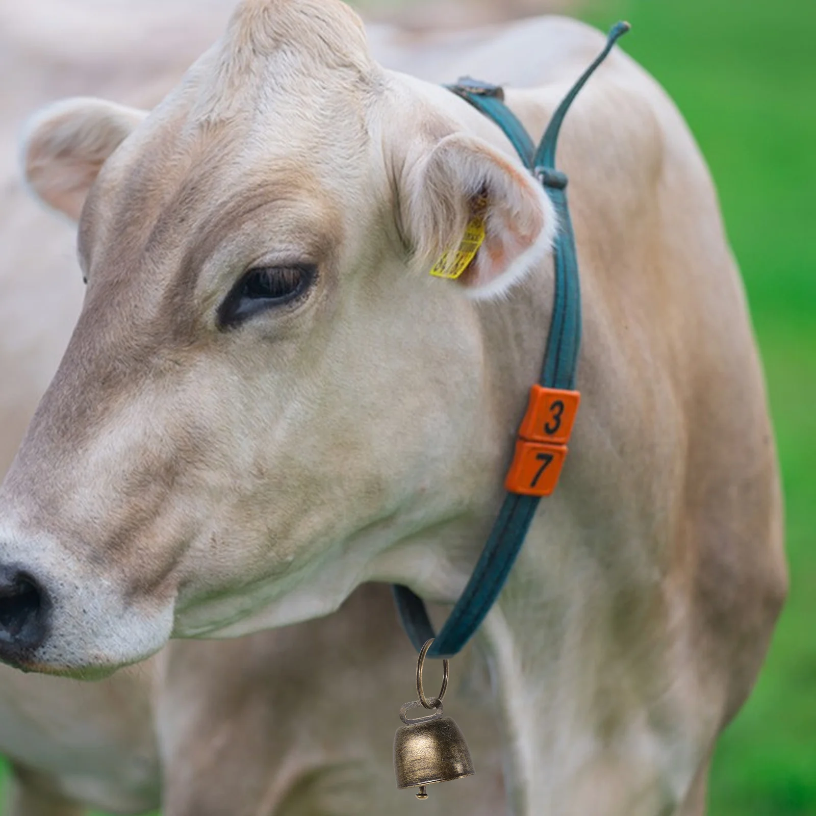 

10Pcs Vintage Metal Cowbell Noise Maker Anti-Lost Bells Rustic Christmas Garden Party Sports Cheering Metal Bell