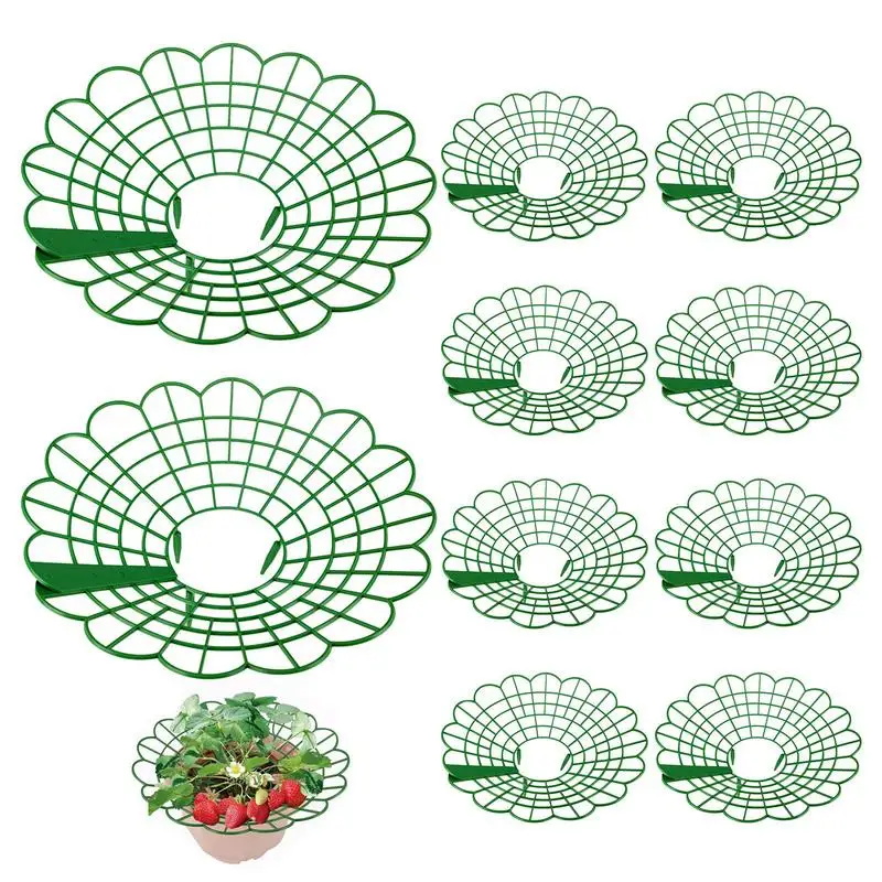 

Strawberry Support Stable Adjustable Plant Support 10PCS Strawberry Growing Frame With Sturdy Leg Plant Fruit Stand Vegetable