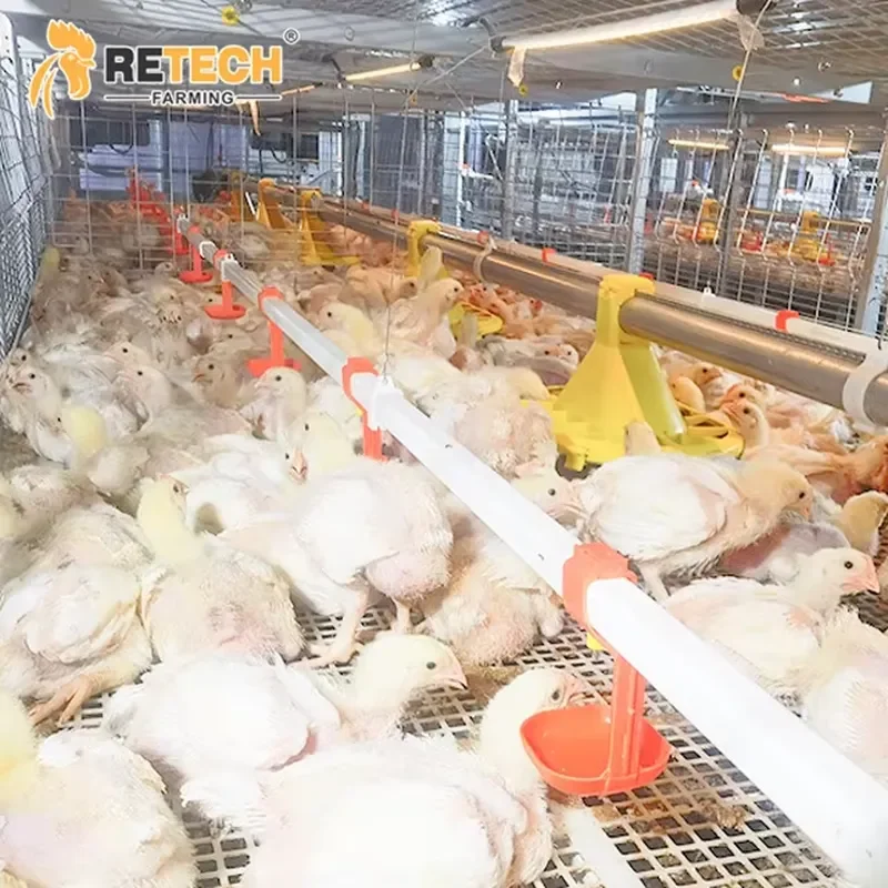 Retech Design Automatic Multi-layer Poultry Cages Equipment for Floor Farming Conversion to Broiler Cage