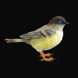 Miniature Birds Decor Handpainted for Children Simulation Bird Figurines for Wedding Festival Tabletop Home Decor Bookshelf
