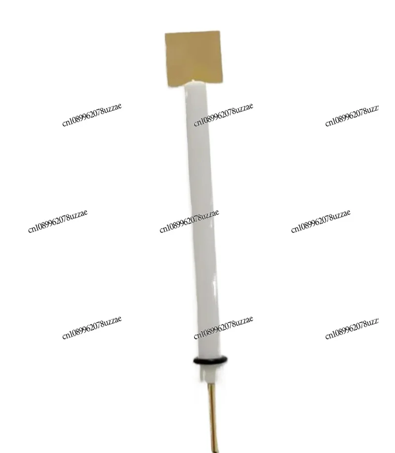 

Laboratory High-purity Gold Electrode AU Working Electrode Purity 99.99