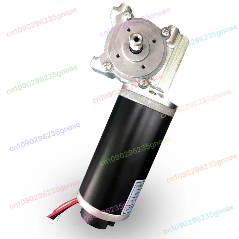 for 24V 60W 100W High Torque Worm Gear Motor Intelligent Encoder Electric Door Motor for Hotels Automatic Door