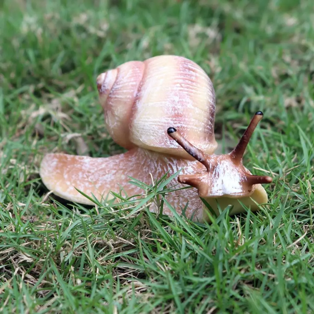 High Quality Micro Landscape Children's Cognitive Puzzle Science Snail Statue Garden Decoration Simulation Insect Snail Model