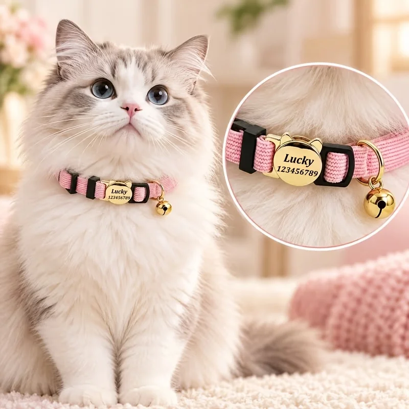 Personalisiertes Katzenhalsband mit Lasergraviertem Namensschild, Anti-Verlust-Halsband, Weiches Cord-Halsband für Kätzchen mit Sicherheits-Abreißschnalle – Detail 3
