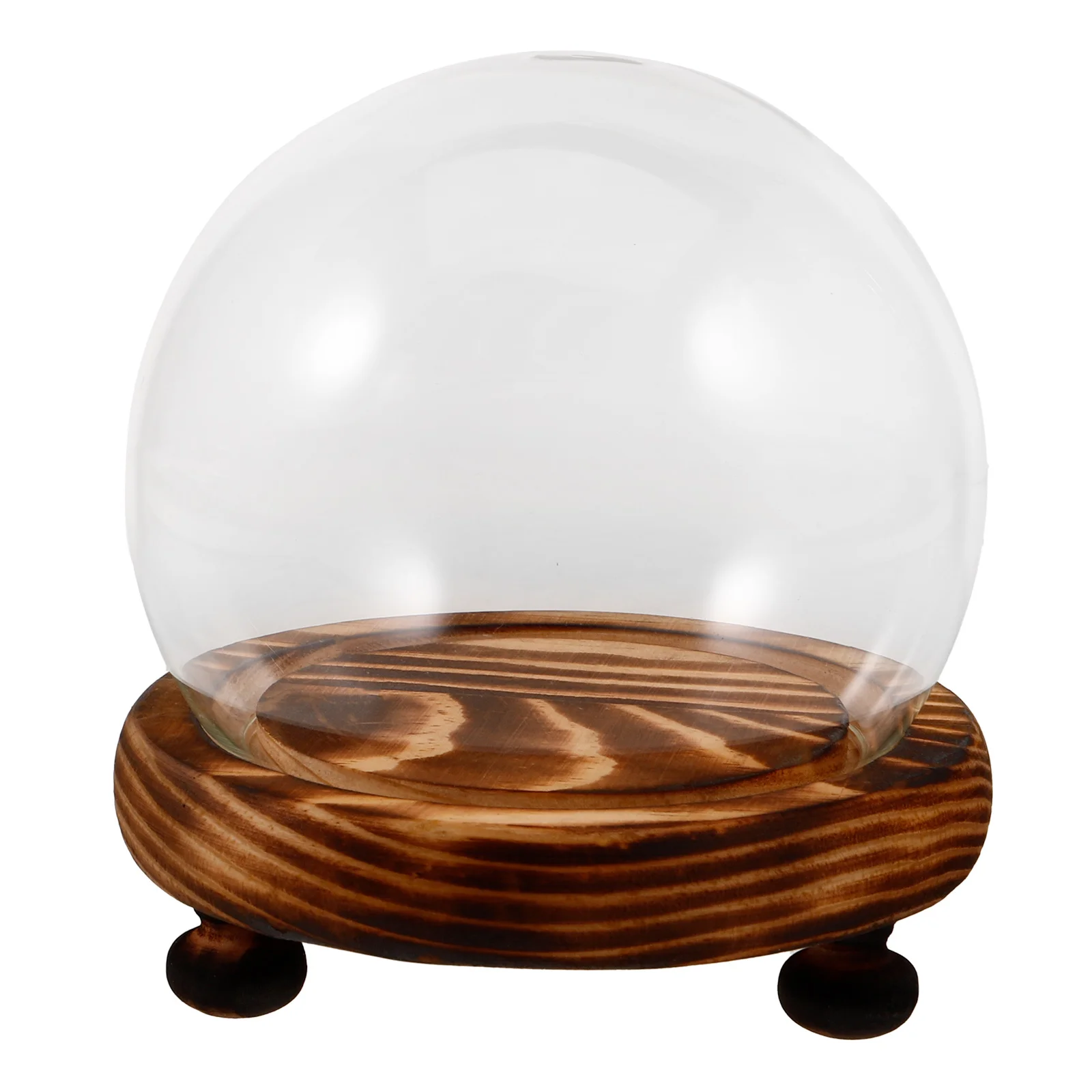 

Glass Dome Display with Wooden Base for Preserved Flowers Clear Small Display Case Home Decor Decoration Plant Cloche