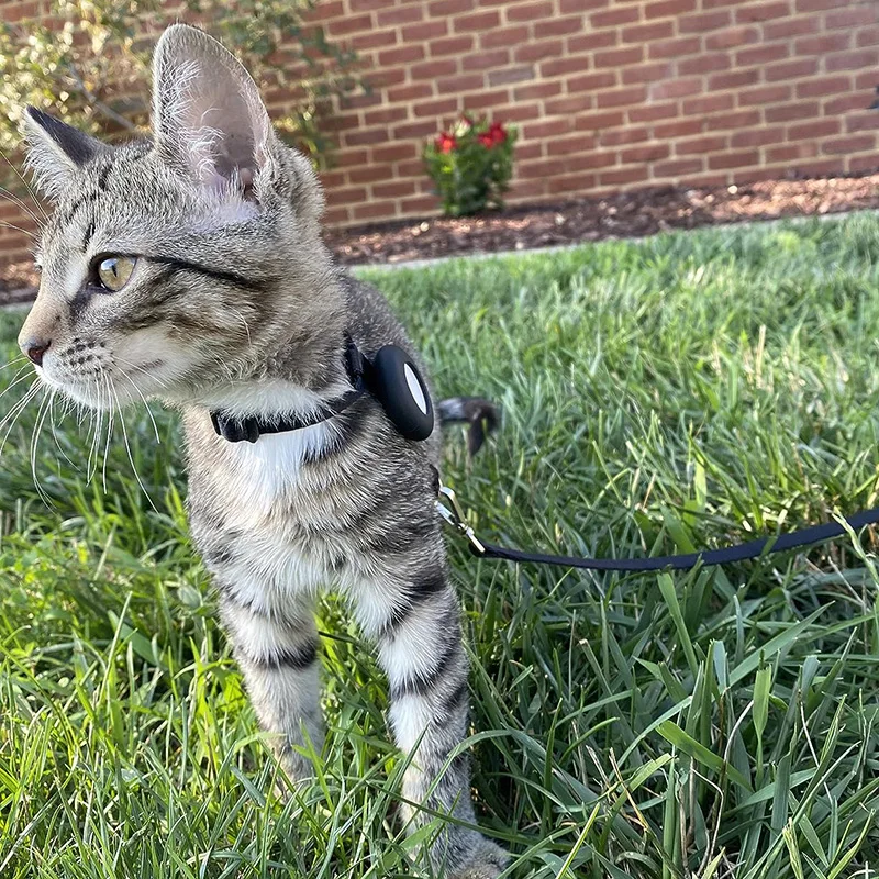Kolorowe silikonowe etui na akcesoria Apple Airtag Tracker Anti-lost Protective Cover na obrożę dla zwierząt