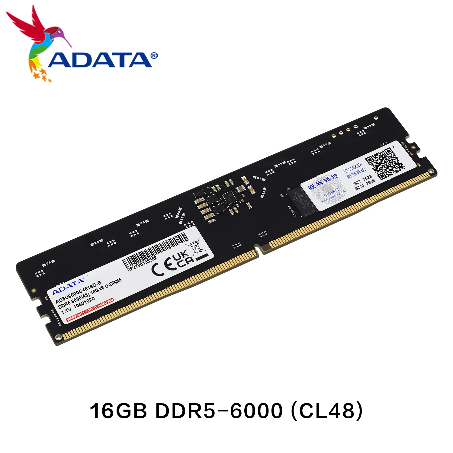 ADATA DDR5 U-DIMM メモリモジュール オンダイECC 5600MHz 32GB CL46 