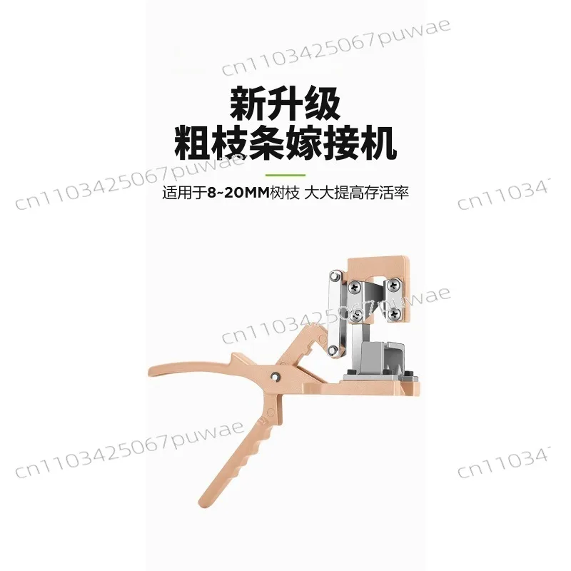 SC-8231 Thick Branc…