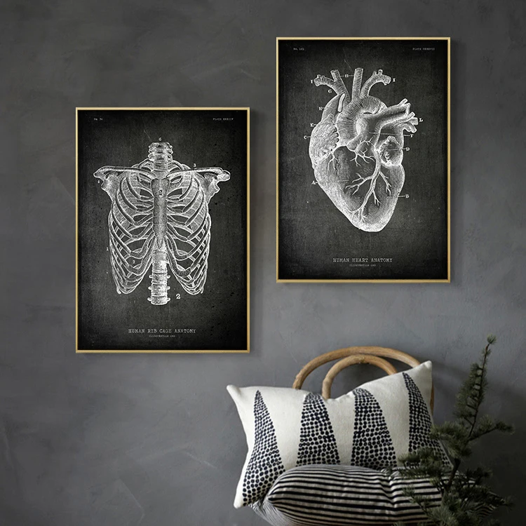 Vintage Chalkboard Anatomy Organ Poster Canvas Painting Human Body Brain Wrist Heart Medicine Wall Picture Room Home Decor