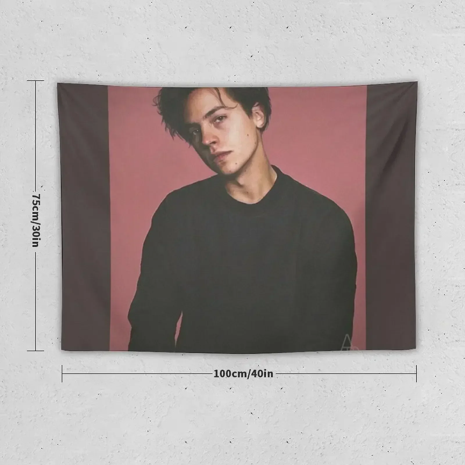 Cole Sprouse Tapestry Aesthetic Room Decor Decoration Wall Tapestry