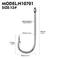 H10701N12  100pcs