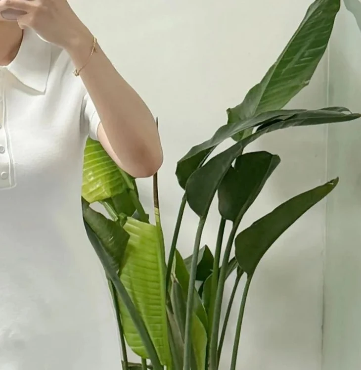 

Женское белое трикотажное платье с лацканами и коротким рукавом, облегающее офисное женское элегантное мини-платье