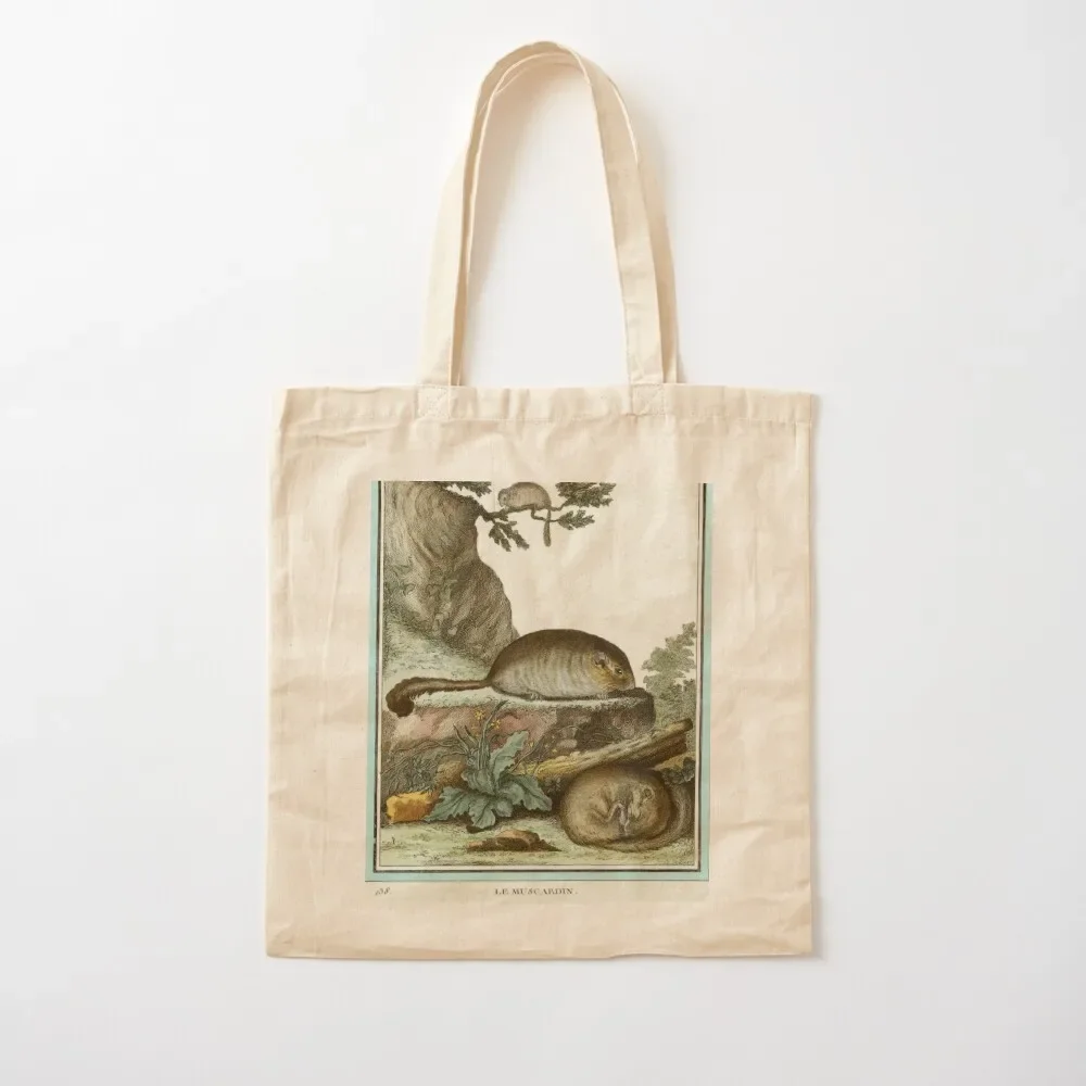 Dormice, one asleep and one awake Tote Bag shopping trolley bag ecological bags Tote Bag