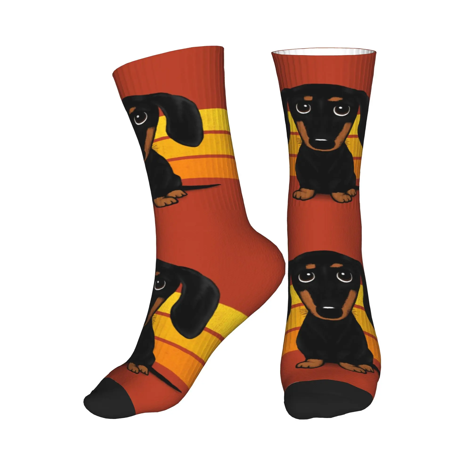 

Funny Printed Cartoon Dachshund Dog Socks for Women Men Stretchy Summer Autumn Winter Badger Wiener Sausage Crew Socks