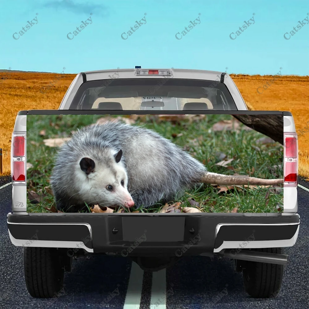 

opossum animal Car sticker rear appearance modification package suitable for accessories universal decals