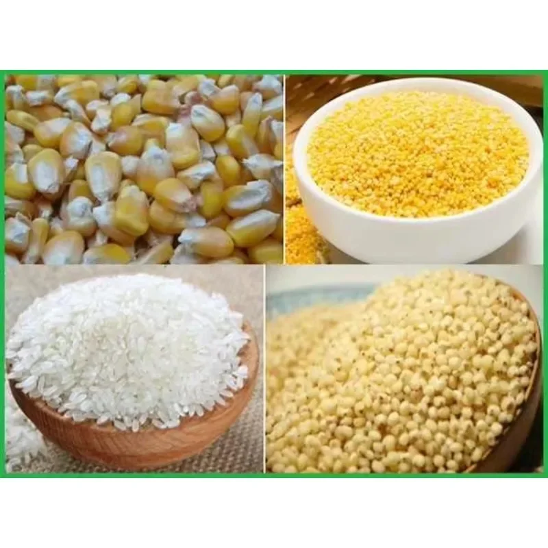 20/30kg Mini Puffed Food Extruder Stainless Steel Corn Rice Snack Extruder for Ice Cream Cone Corn Bulking