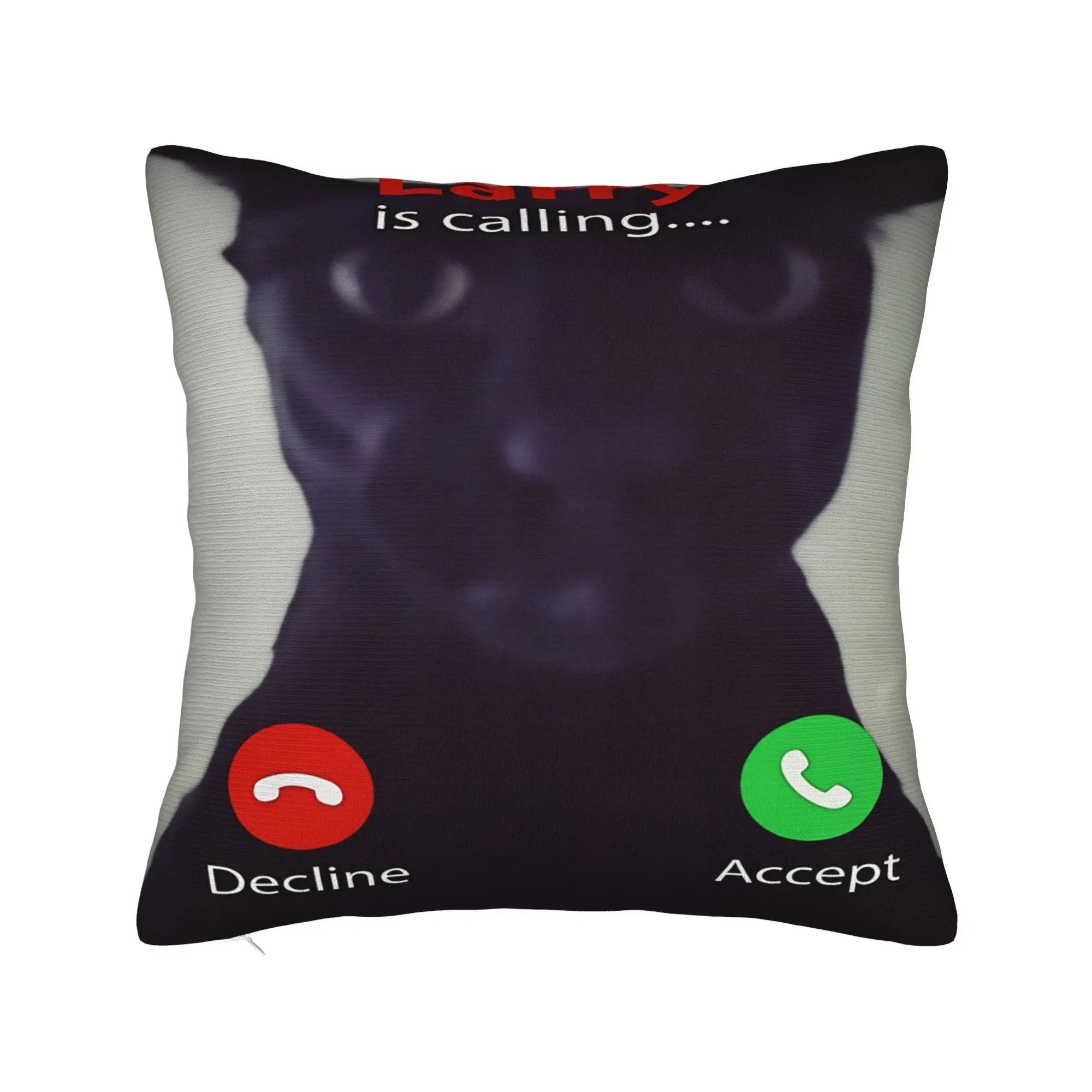 Evil Larry Cat Dank Brainrot Meme Pillowcases  Morden Pillow Case For Sofa Car Home Decor Comfy Pillow Cover