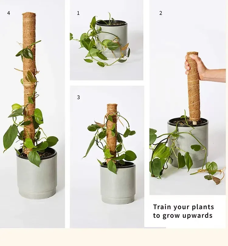 

Coconut sticks plant climbing with sticks Extendable and deformable coconut sticks gardening plant accessories