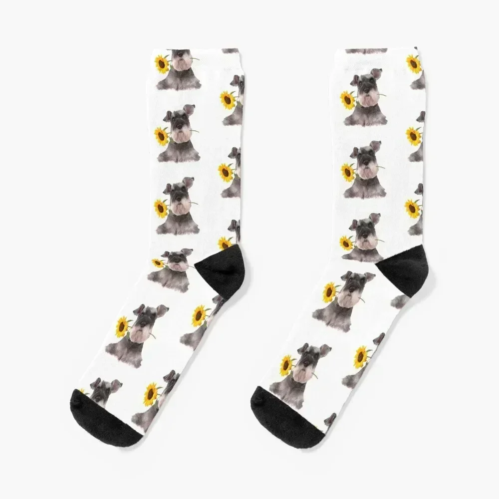 

Schnauzer Sun Flower Socks Running loose Socks Women's Men's