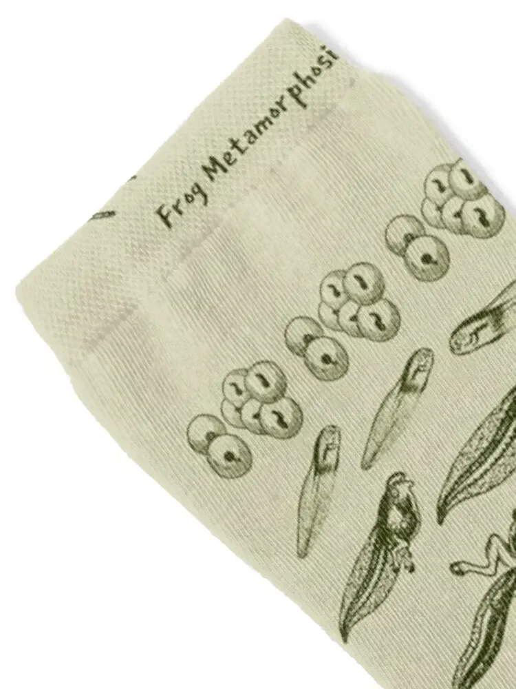 Vintage Biology: Frog Life Cycle Metamorphosis from Toad to Tadpole for Science Lovers and Natural History Enthusiasts Socks