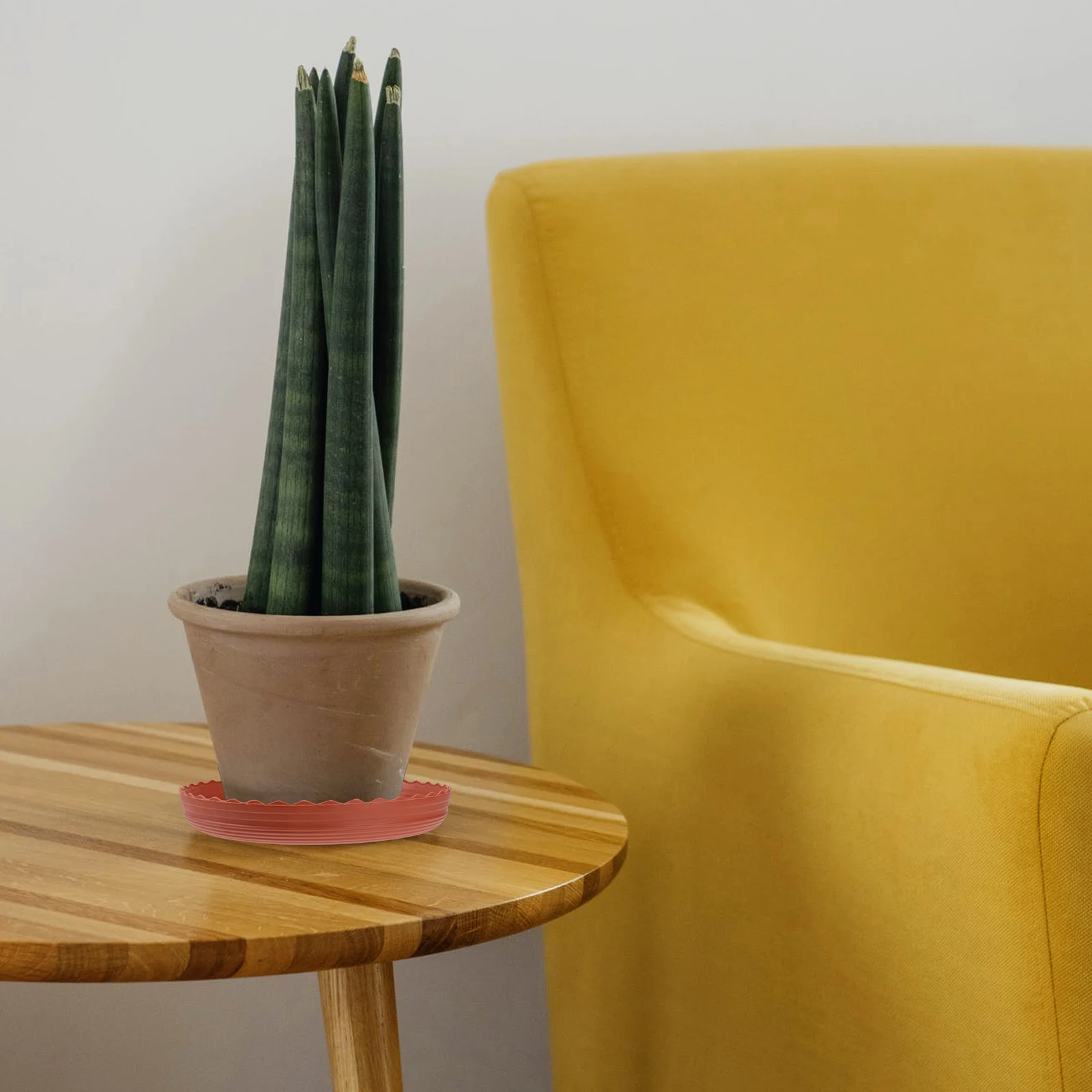 

2Pcs Round Resin Plant Pots Tray Drip Tray Stable Non-Slip Base for Succulent Flowers Plant Pots Balcony Garden