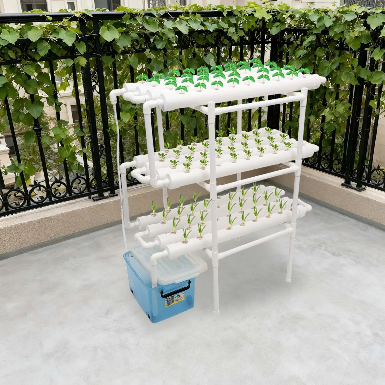 aardbei plant Six-pack Biologische Aardbeien | Fragaria Ostara