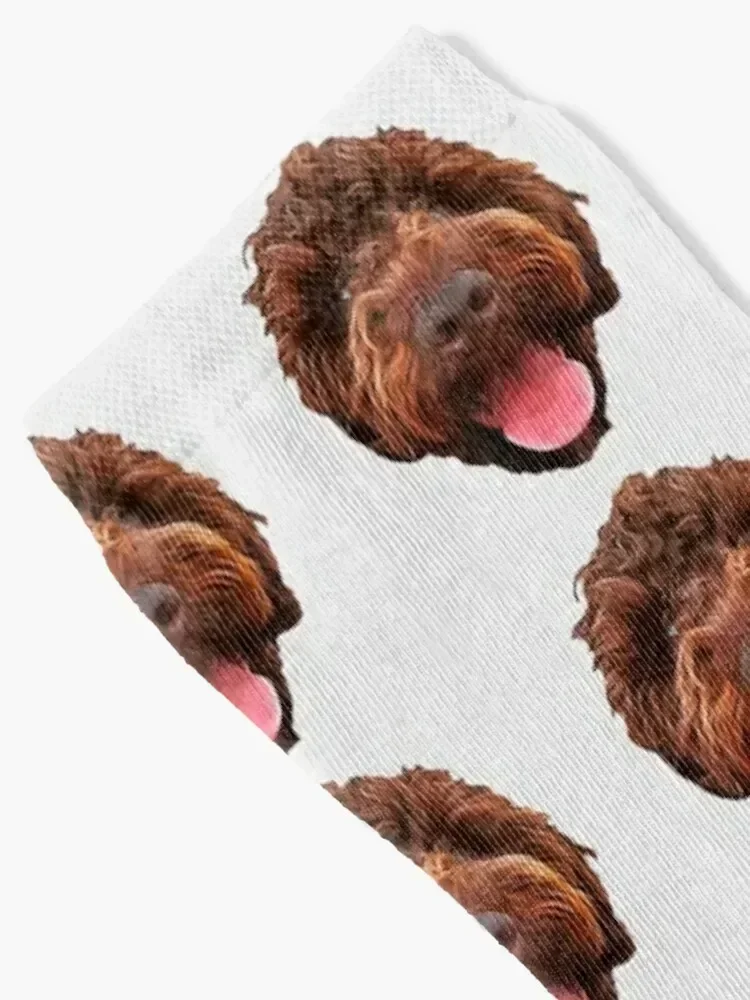 جوارب Lagotto Romagnolo جوارب لطيفة جوارب جولف كلاسيكية للرجال جوارب نسائية