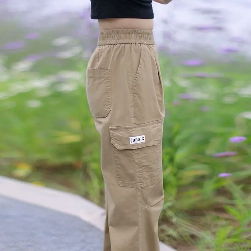 Pink Fashionable Work Pants Women's New Thin Casual High Waist Small Elastic Waist Straight Leg Pants