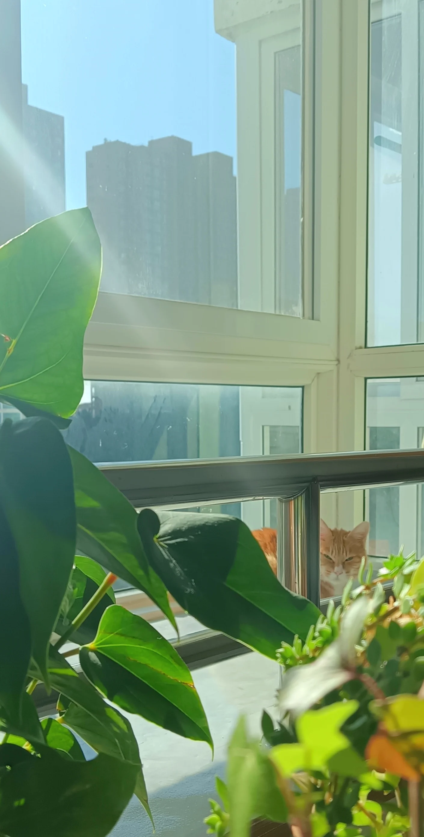 

Adjustable Computer Tower Stand with Cooling Fan Mobile CPU Holder 4 Rolling Casters PC Floor Cart PC Riser Under Desk CPU