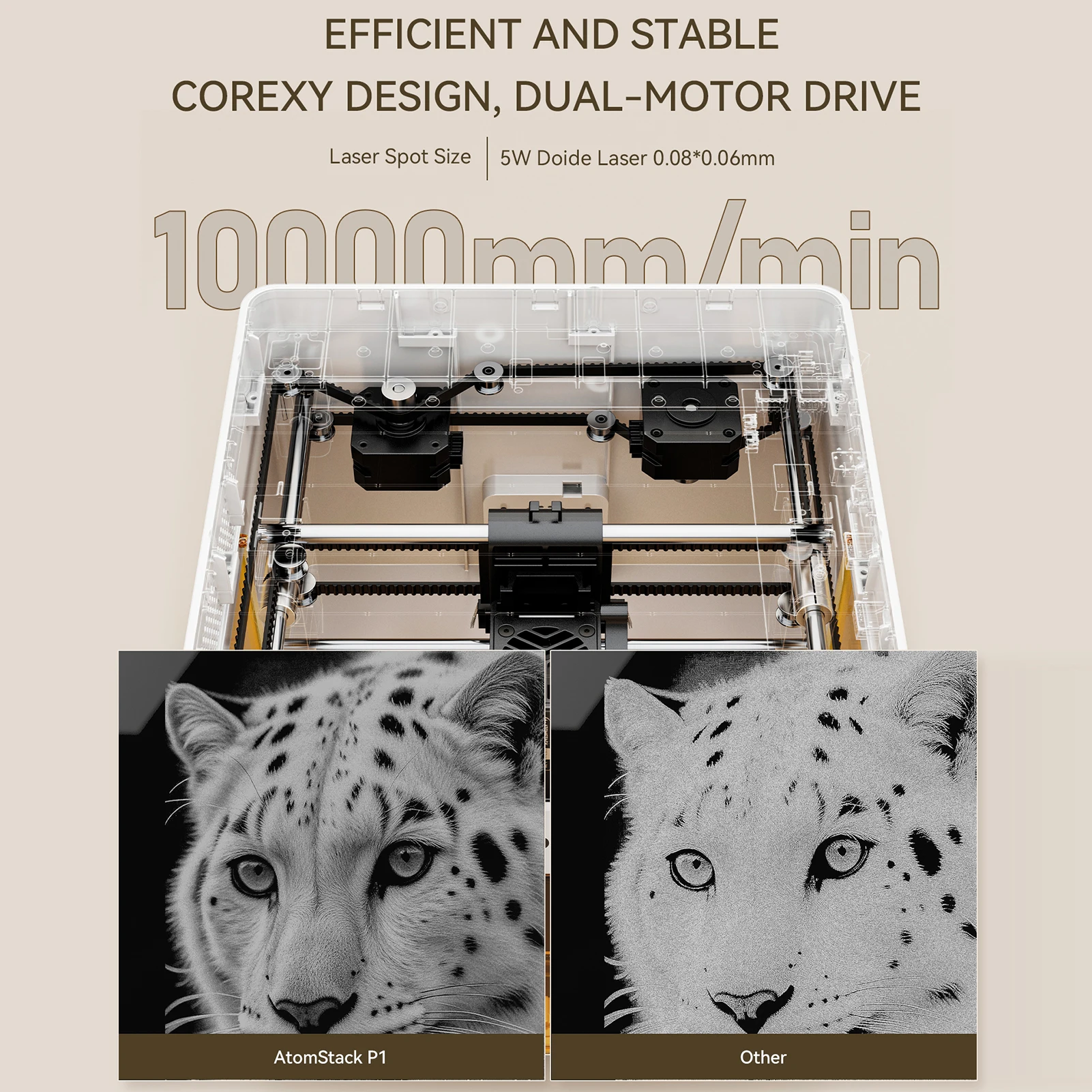 AtomStack P1 5W Laser Engraver أقصى سرعة نقش 10,000 مم/دقيقة سريعة التركيز مجانًا وسهلة الاستخدام مع برنامج Atomstack 1