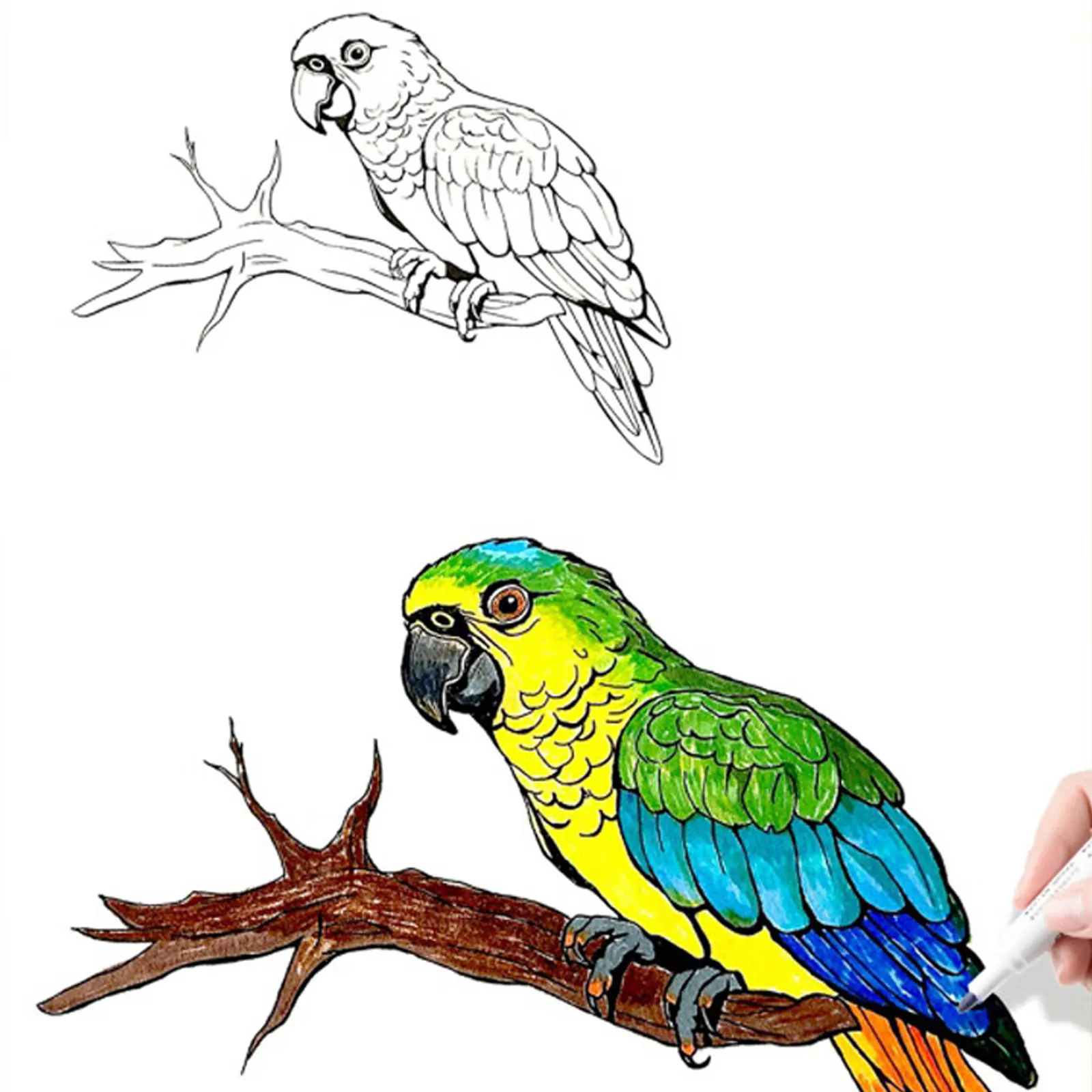 كتاب رسم فني لشخصية الرسوم المتحركة: كتاب تمرينات بسيط للرسم اليدوي للمبتدئين - 48 صفحة من أنماط الخطوط العريضة