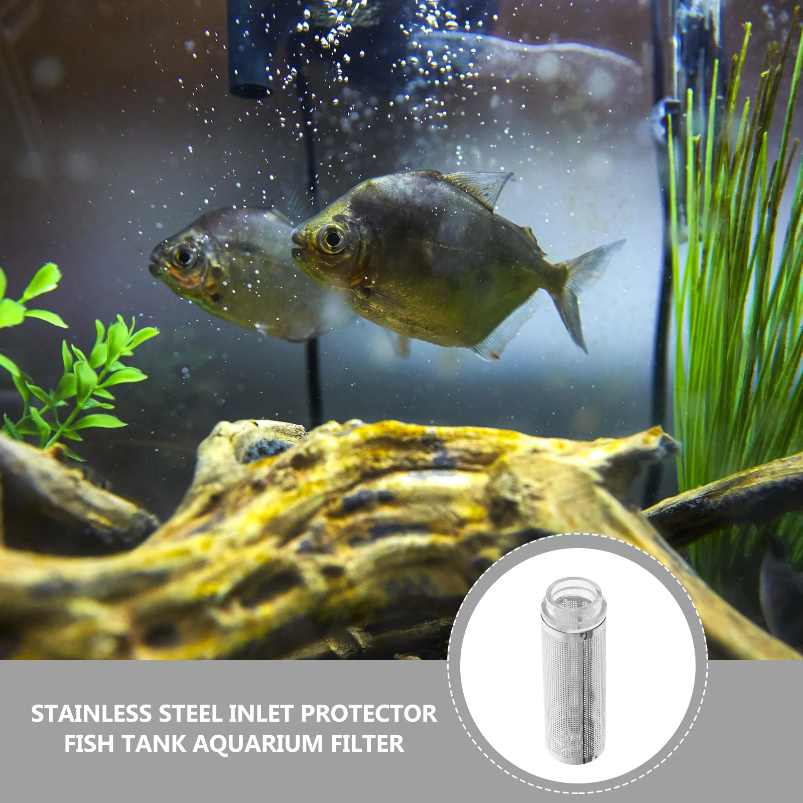 

Stainless Steel Aquarium Protective Cover Filter Protector Inlet Strainer Screen Fish Tank Intake Guard