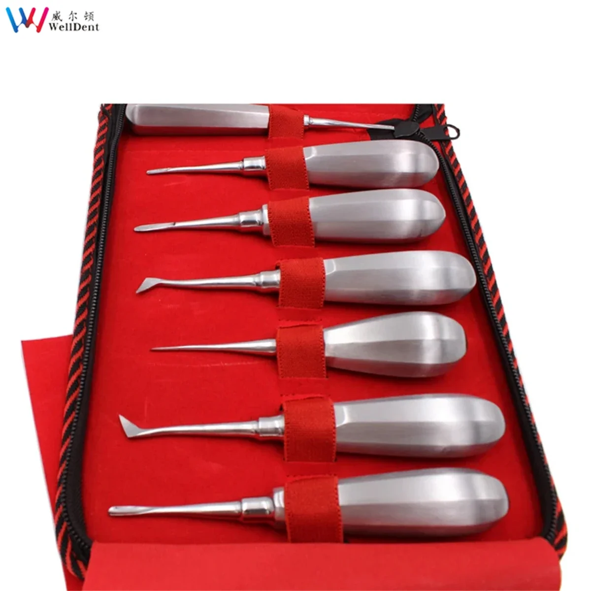 Dental aço inoxidável dente elevador, Kit de ferramentas dentista, reto e curvo, Elevador raiz, Luxating, 13 pcs/set