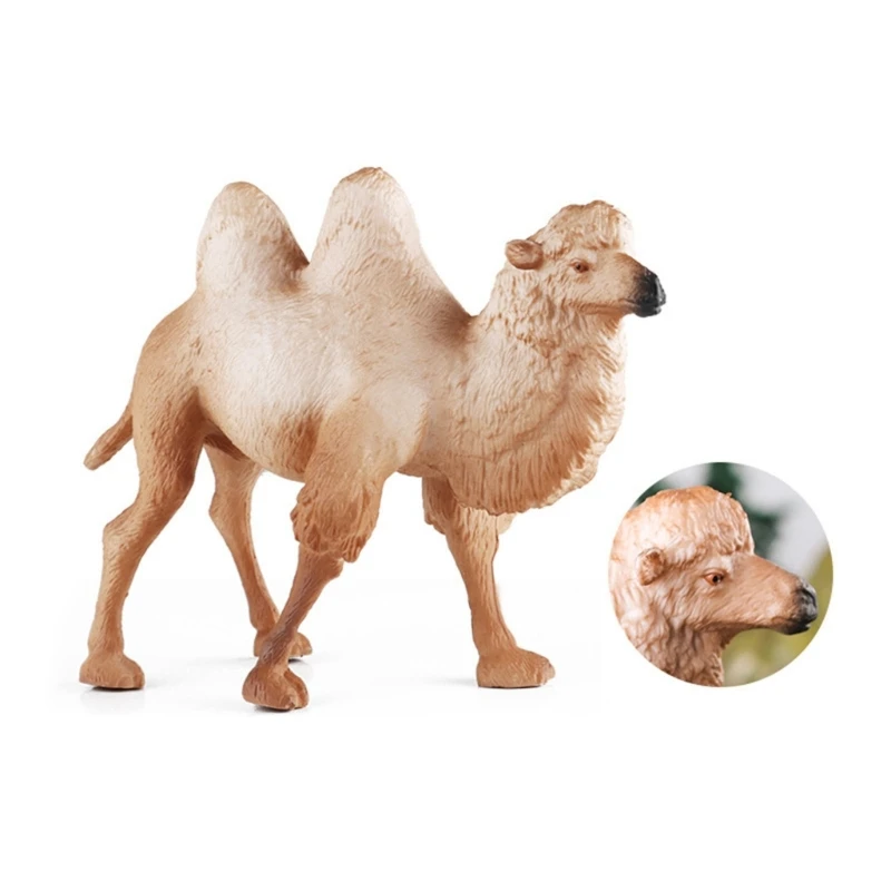 Wildlife Camels Savannah Creature Toy Perfect for Role Playing and Pretend Play