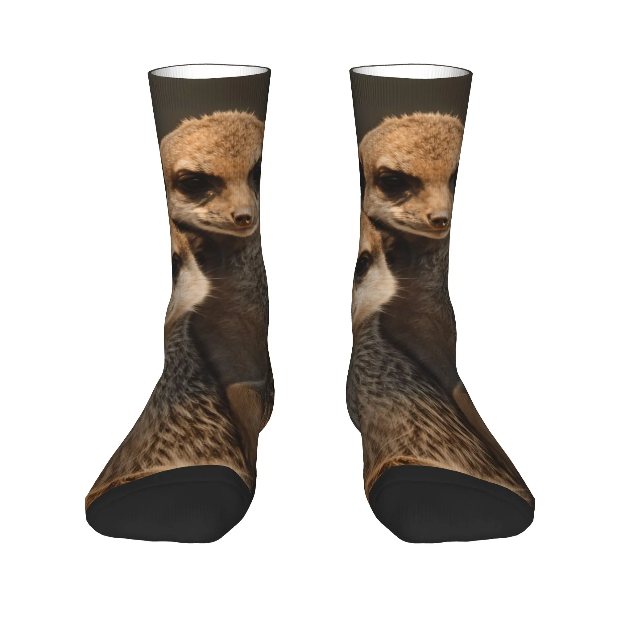 Couple Socks Two Meerkats Leaning On Each Other  Stockings Non Skid Medium Soft Socks Autumn Funny Design Running Socks