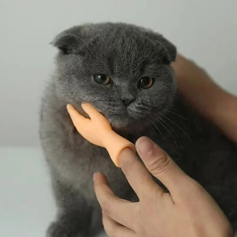Katzen-Finger-Gesten-Handschuhe Kreatives Dehnbares TPR-Spielzeug Hohe Elastizität Interaktives Katzenspielzeug Sicheres Haustierspielzeug Lustiges Tierpfoten-Design – Detail 16