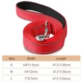 red leash 