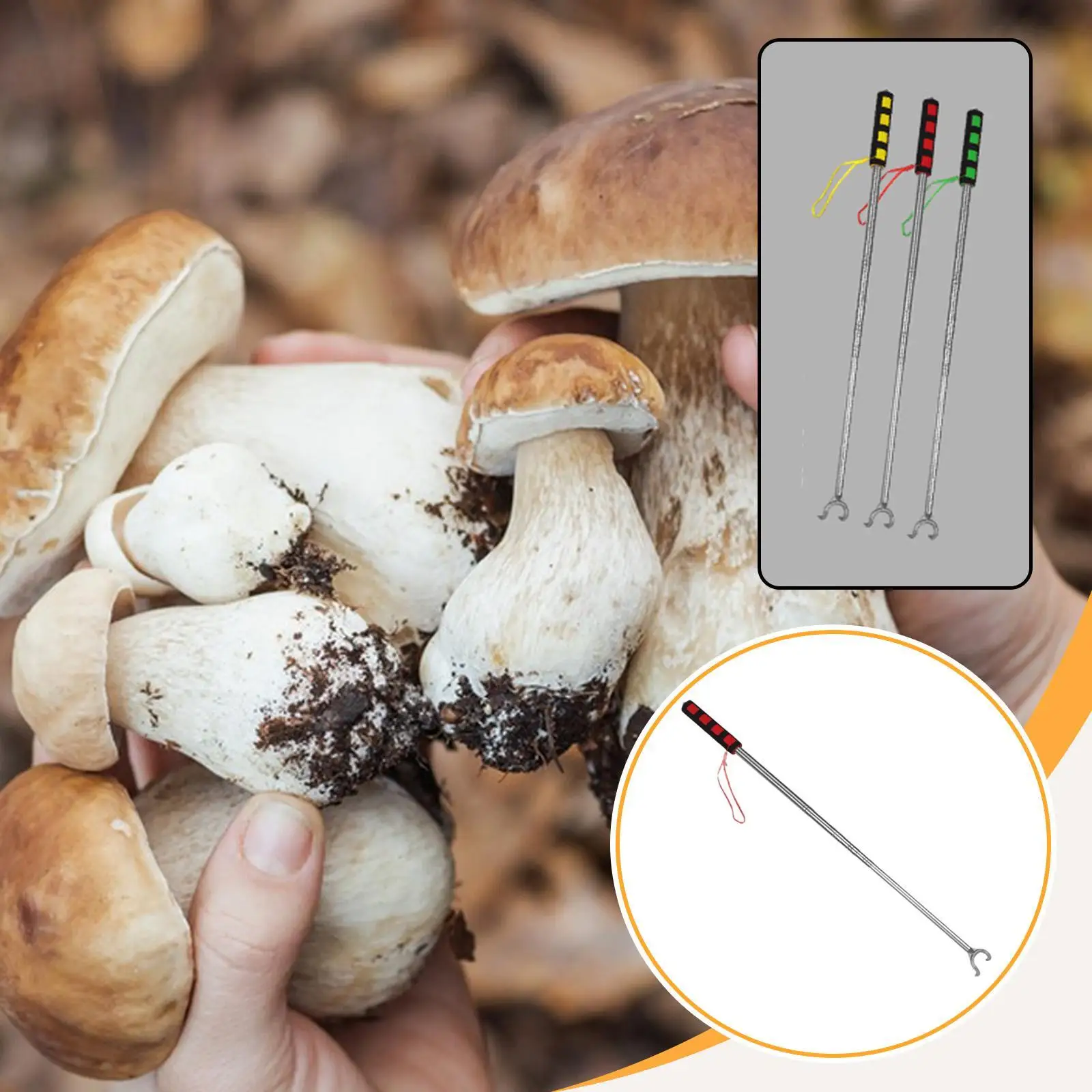 

Mushroom Picking Tool Portable Extendable Ergonomic Handle Stainless Steel Mushroom Foraging Picker Wild Mushrooms Harvester