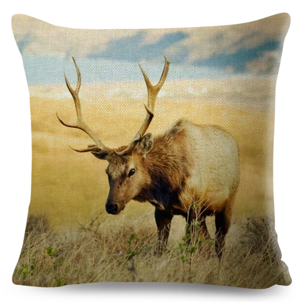 Funda De CojíN De C… - image