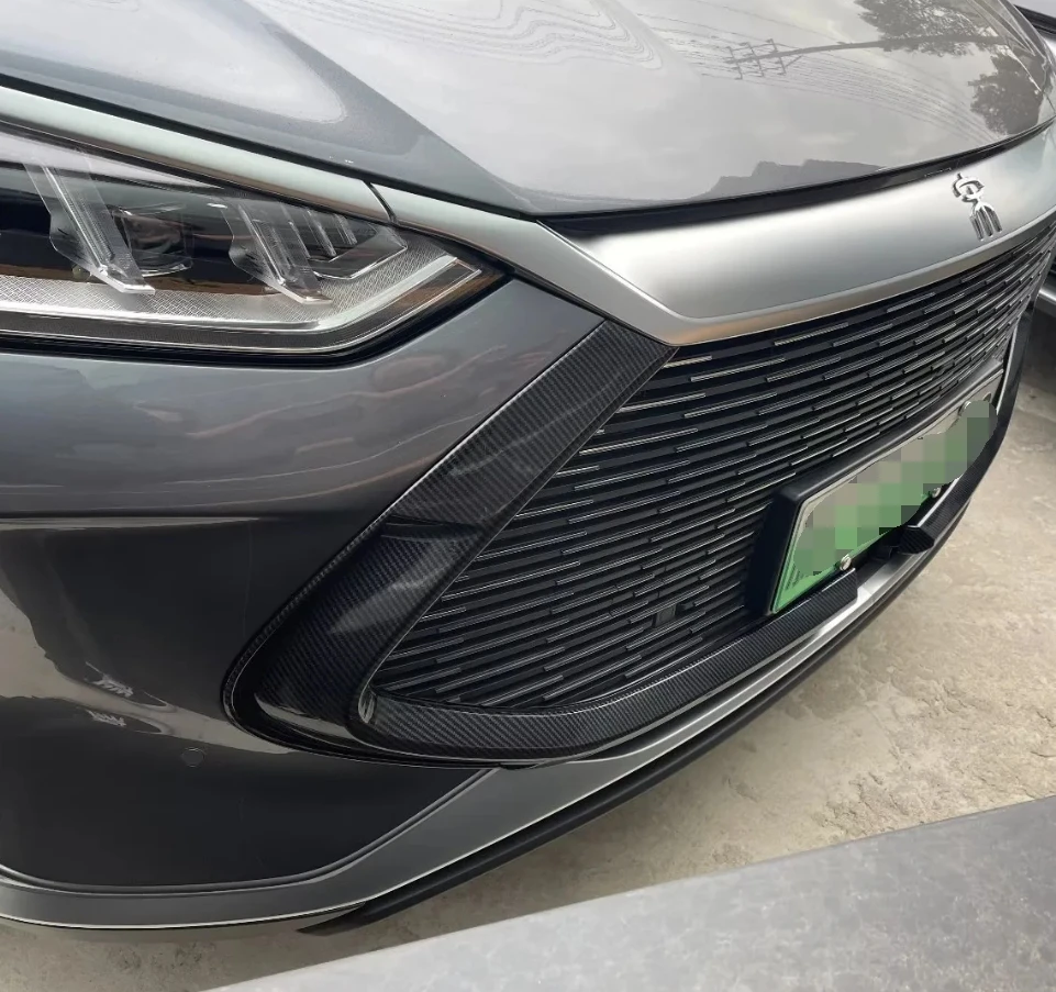 Net Grille Insect NetWater Tank Insect Insect-proof Sandstone Cover For BYD SONG PLUS 2020 2021 2022 Exterior Accessories