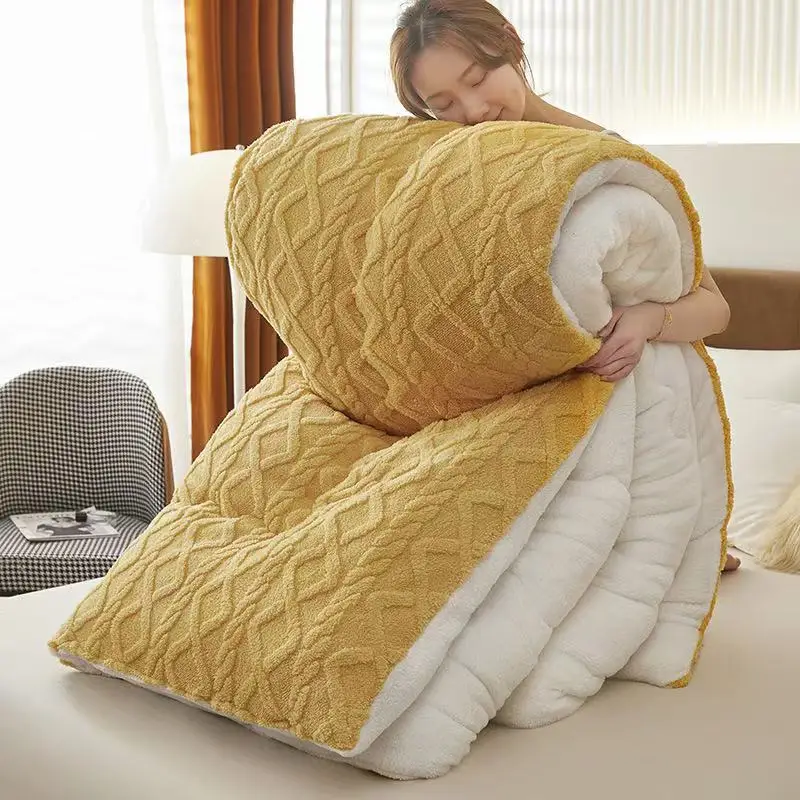 Comforter Plush Fleece Winter Duvet Insert Queen King Double Single Dorm Cozy Hypoallergenic Washable Home Use Duvet Blanket