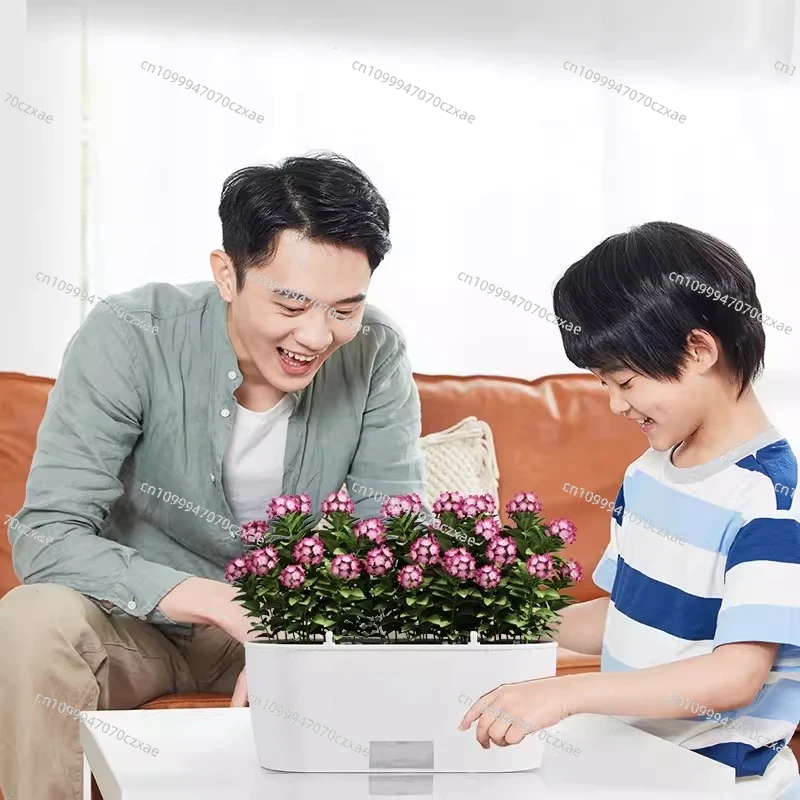 Smart Flower Pot, Real-time Viewing, Automatic Watering and Lighting)