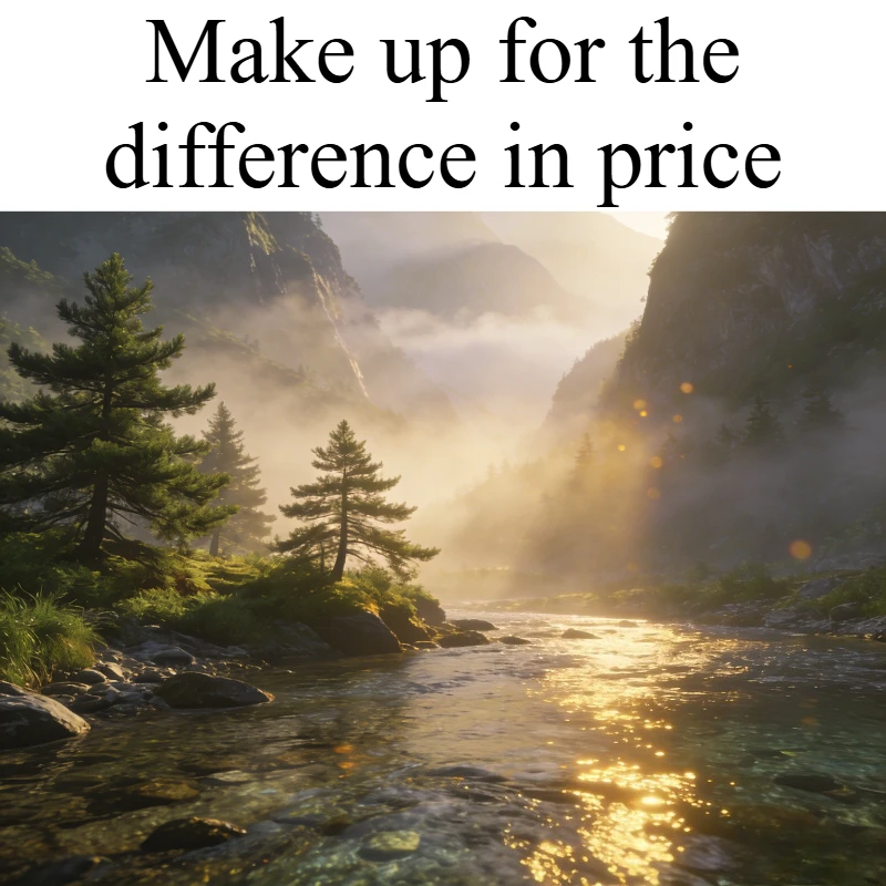 Make up for the difference in price prce